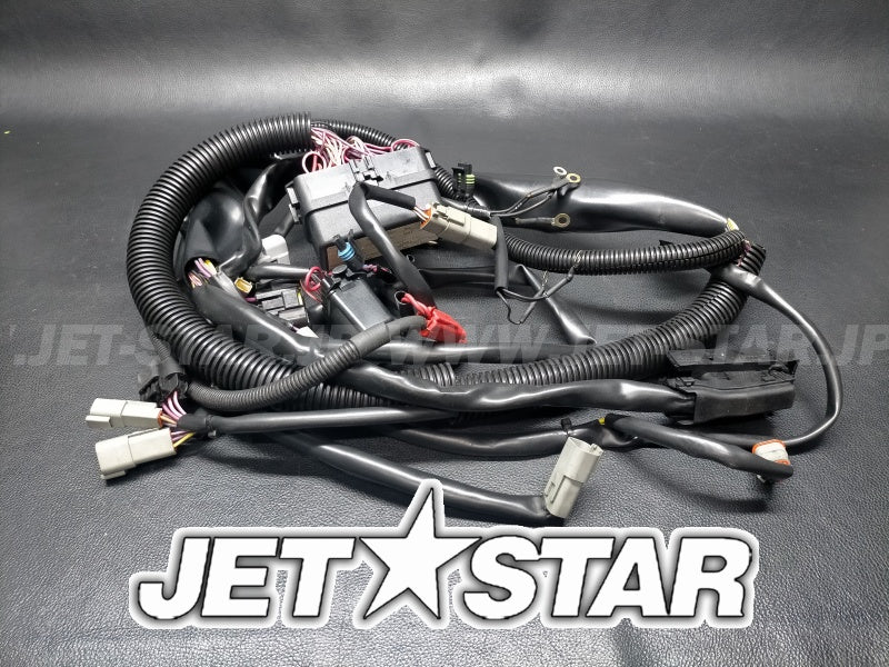 RXT 215'09 OEM (Electrical-Harness-1) MAIN WIRING HARNESS Used [S2200-09]