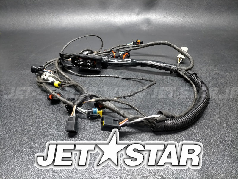 RXT 215'09 OEM (Engine-Harness) ENGINE WIRING HARNESS ASS'Y Used [S2200-19]