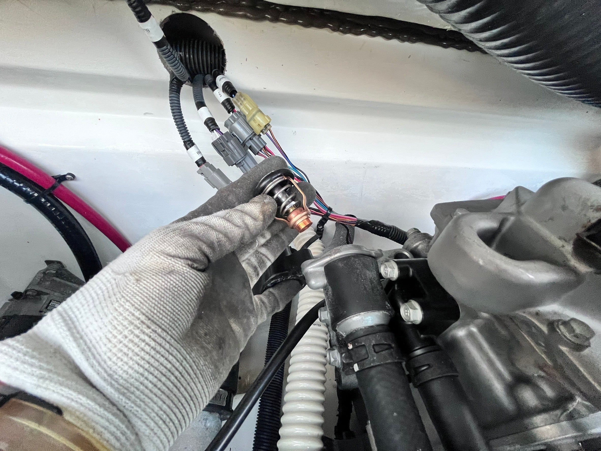CONDITION REPORT :JY2058