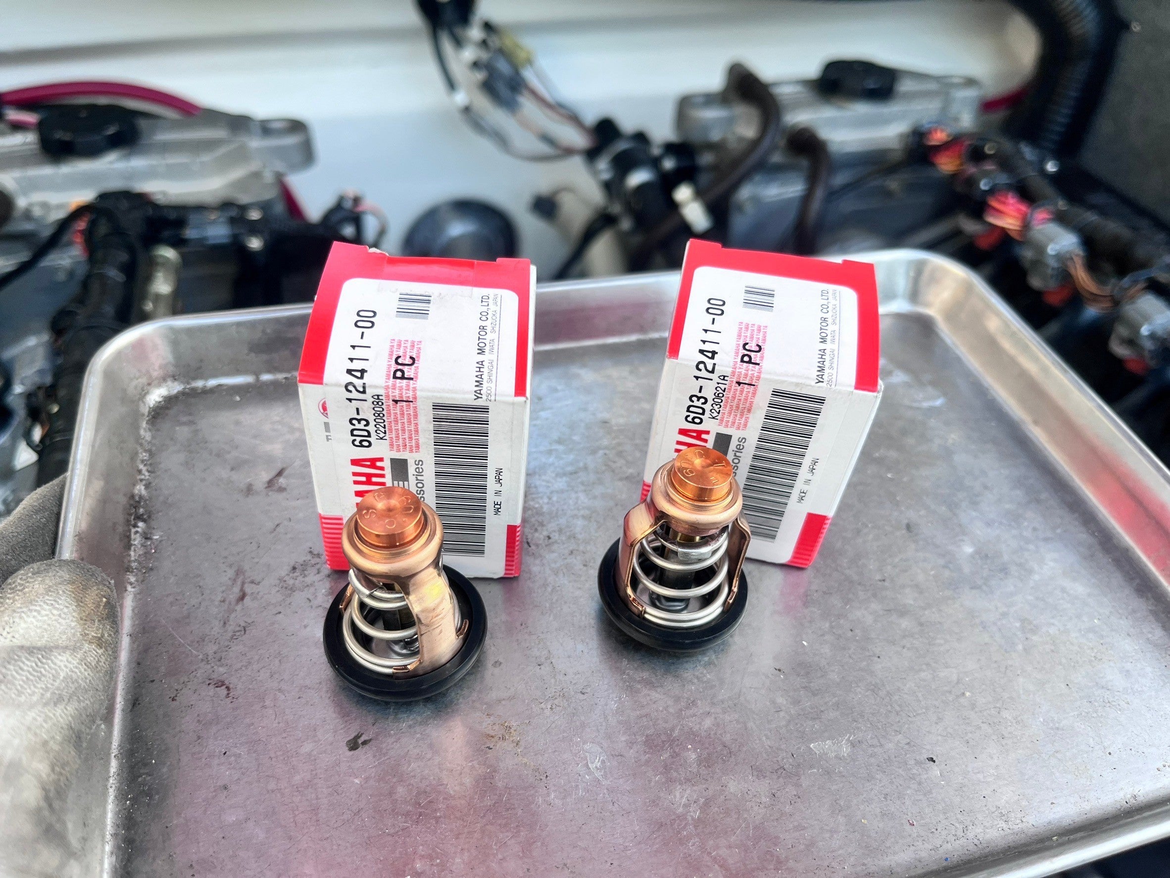 CONDITION REPORT :JY2058