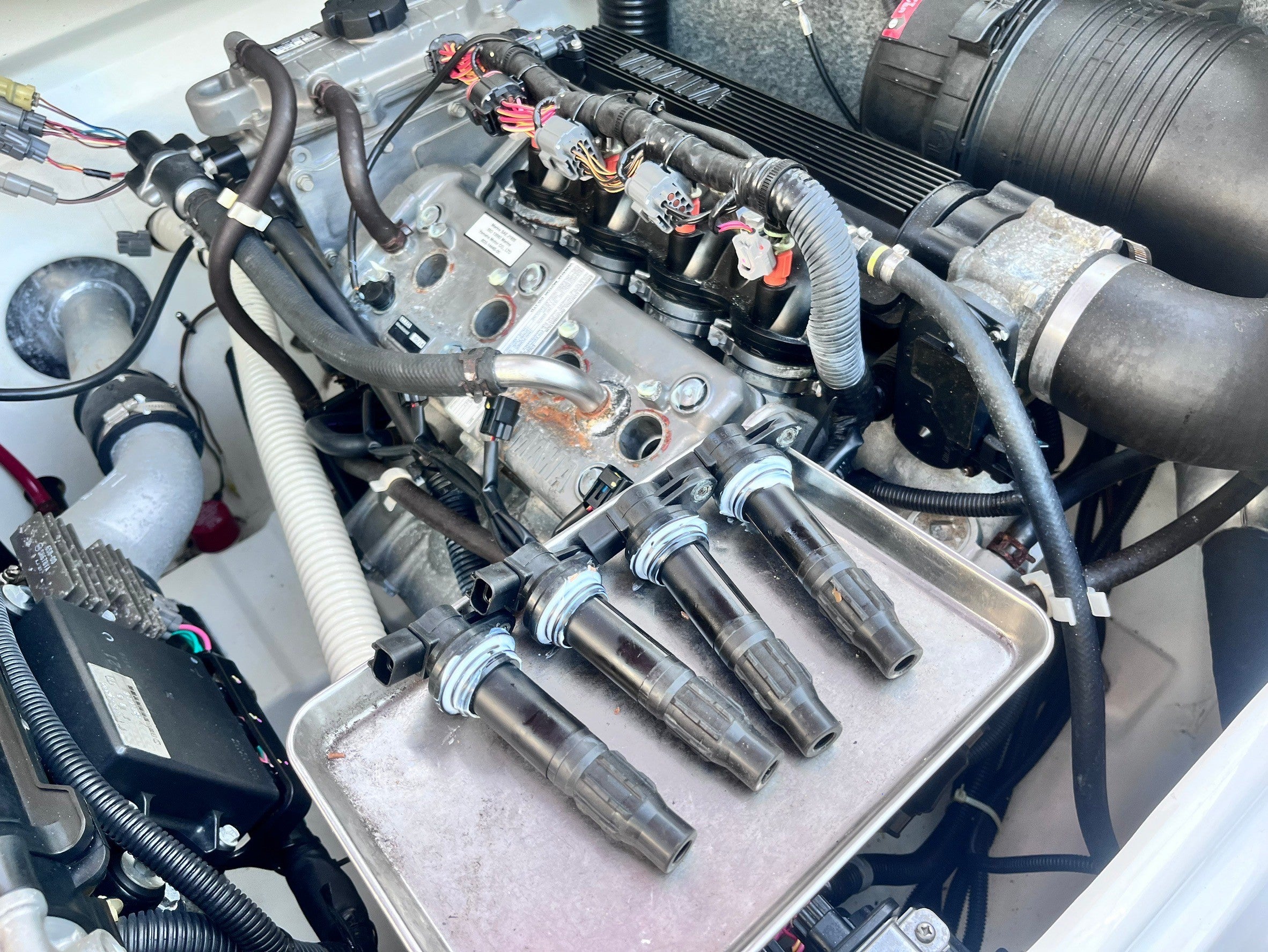 CONDITION REPORT :JY2058