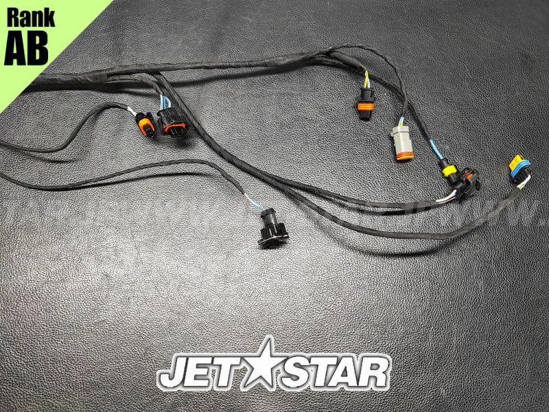 SEADOO GTX 4-TEC '04 OEM ENGINE WIRING HARNESS ASS'Y Used (420664056) [S8779-22]