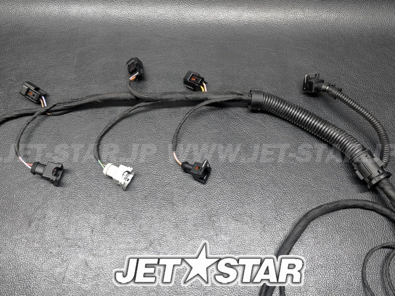 SEADOO GTX WAKE '05 OEM Engine Wiring Harness Ass'y Used (420664056) [S8781-28]
