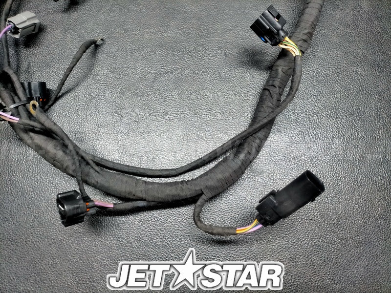 SEADOO GTX 230 '21 OEM HARNESS Used (420964120) [X2308-53]