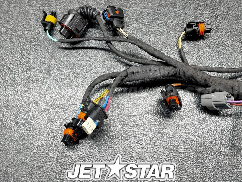 SEADOO GTX 230 '21 OEM HARNESS Used (420964120) [X2308-53]