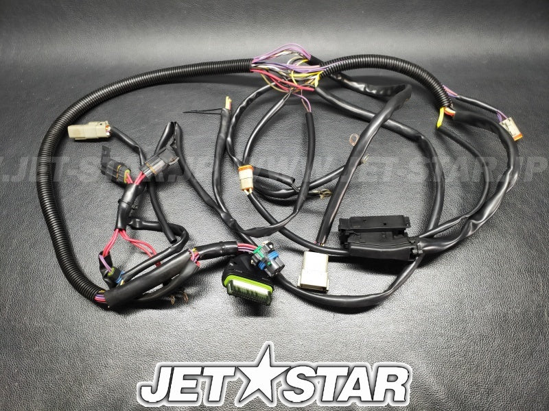 SEADOOOEM 180challenger '07 ENGINE HARNESS Used (204470973) (with defect) [X2309-91]