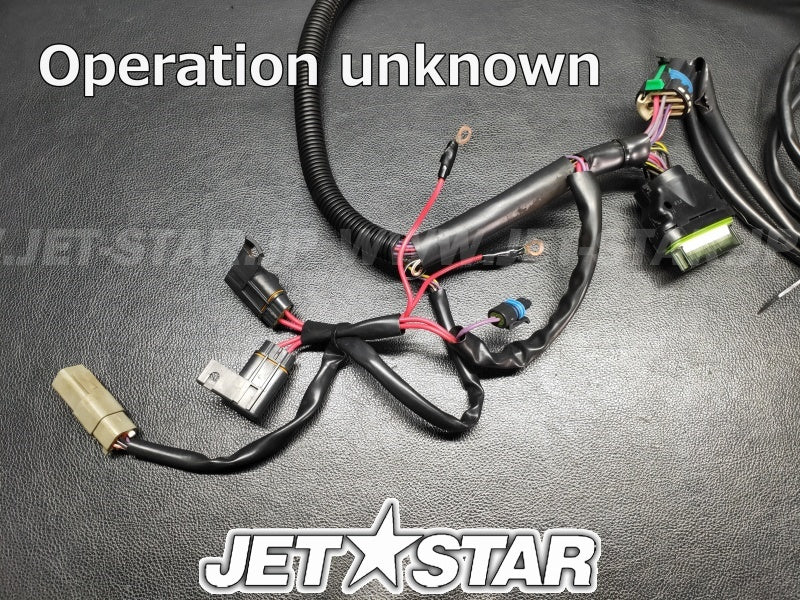 SEADOOOEM 180challenger '07 ENGINE HARNESS Used (204470973) (with defect) [X2309-91]