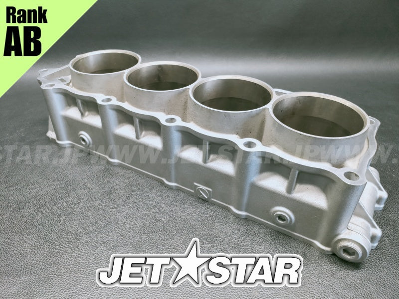 Kawasaki STX-15F '05 OEM CYLINDER-ENGINE Used (11005-3761) [X2312-02]