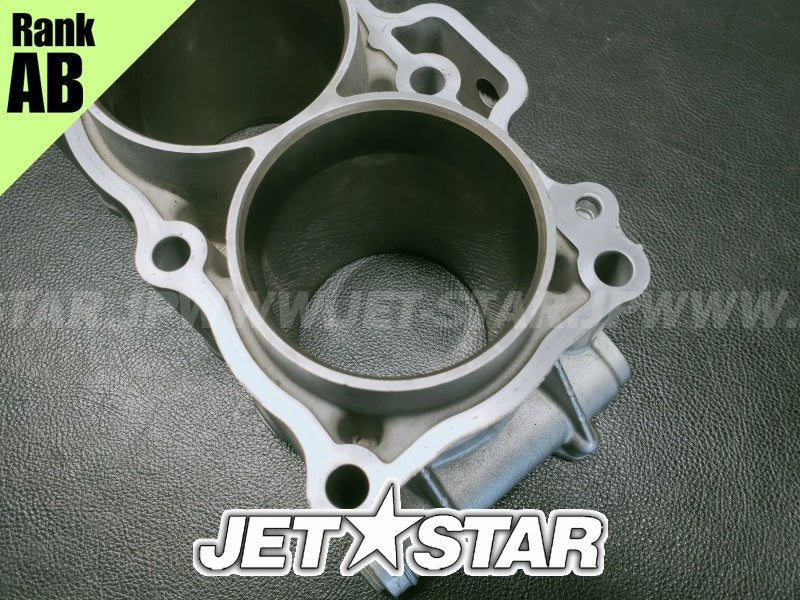 Kawasaki STX-15F '05 OEM CYLINDER-ENGINE Used (11005-3761) [X2312-02]