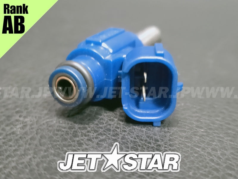 YAMAHA EXDeluxe '17 OEM INJECTOR Used (6EY-13761-00-00) [X2312-50]