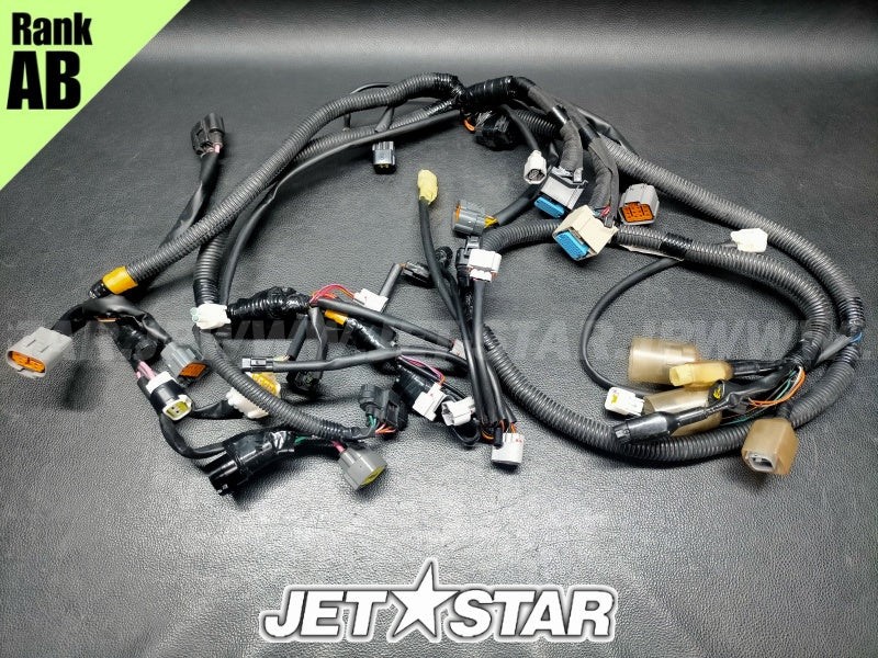 YAMAHA EXDeluxe '18 OEM WIRE HARNESS ASSY 1 Used (6GA-8259L-20) [X2312-86]
