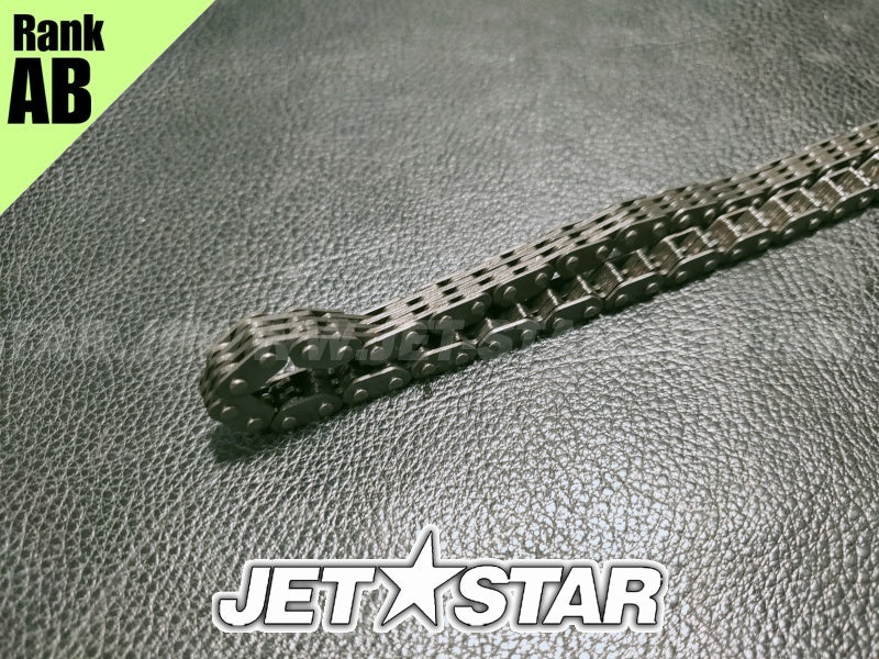 SEADOO SPARK '14 OEM CAMSHAFT CHAIN Used (420297086) [X2401-65]