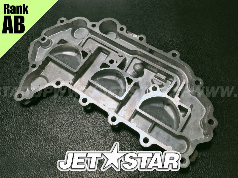 SEADOO SPARK '14 OEM OIL SUMP Used (420911502) [X2401-69]