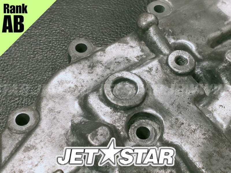 SEADOO SPARK '14 OEM OIL SUMP Used (420911502) [X2401-69]