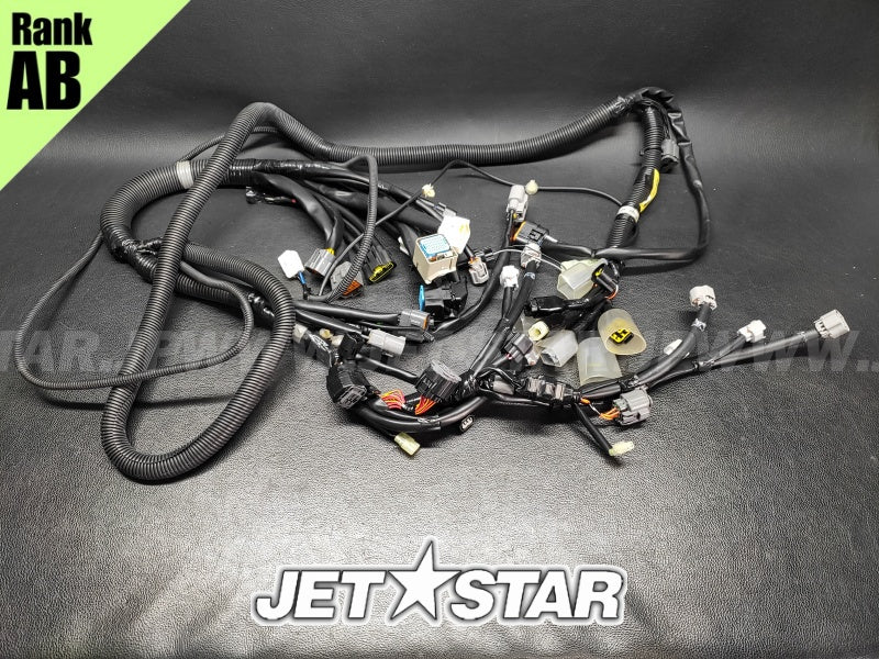 YAMAHA VXR '18 OEM WIRE HARNESS ASSY 1 Used (6EW-8259L-10) [X2403-19]
