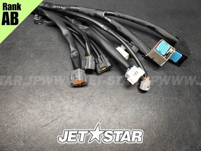 YAMAHA VXR '18 OEM WIRE HARNESS ASSY 1 Used (6EW-8259L-10) [X2403-19]
