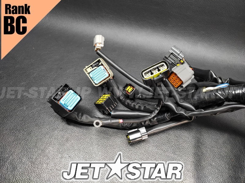 YAMAHA FXHO '19 OEM WIRE HARNESS ASSY 1 Used (6HM-8259L-00) [X2403-62]