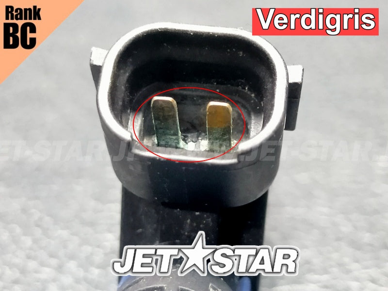SEADOO RXT iS 255 '09 OEM FUEL INJECTOR Used (420874846) [X2406-68]