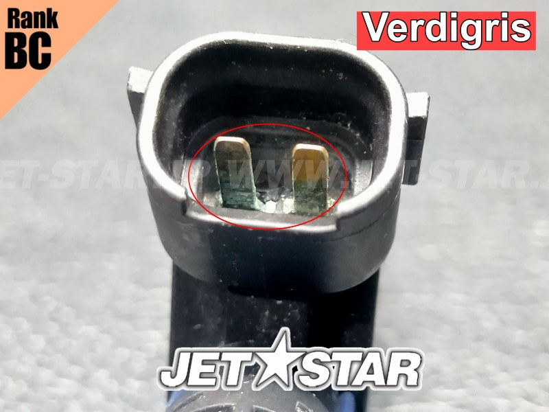 SEADOO RXT iS 255 '09 OEM FUEL INJECTOR Used (420874846) [X2406-69]