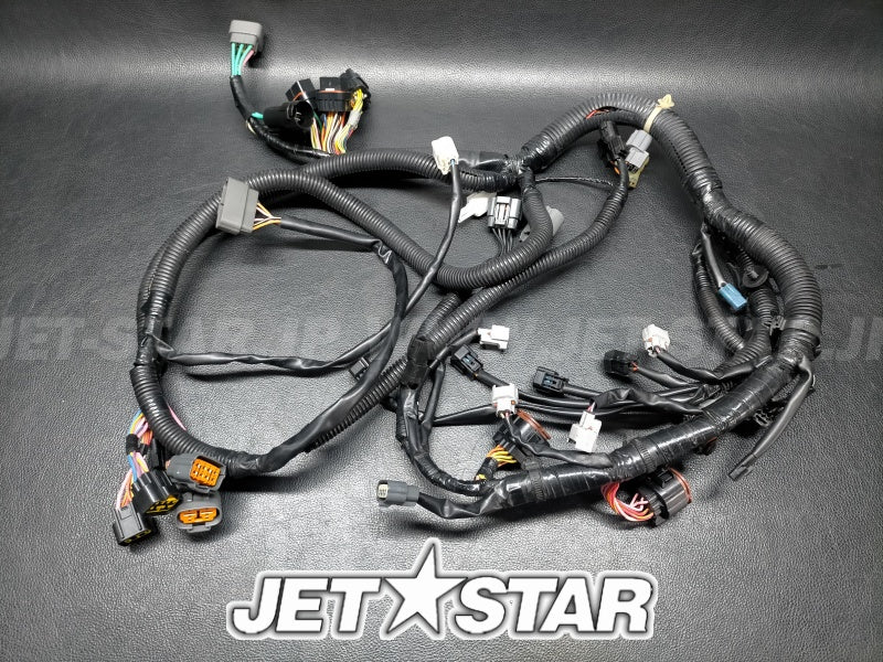 YAMAHA VX '07 OEM WIRE HARNESS ASSY 1 Used (6D3-8259L-02) [X2412-10]