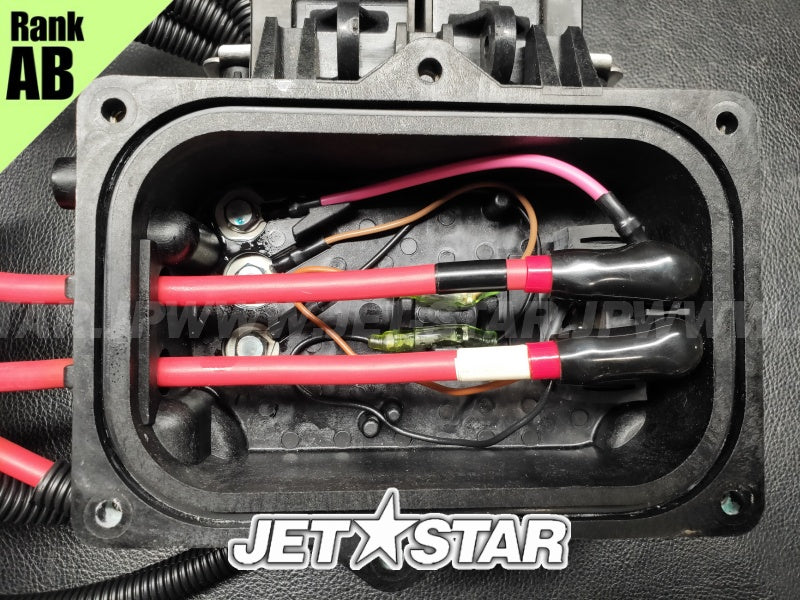 YAMAHA VXCruiser '11 OEM FUSE BOX ASSY Used (6BU-82170-00) [Z6189-03]