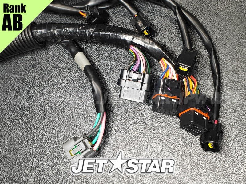 YAMAHA VXCruiser '11 OEM WIRE HARNESS ASSY 1 Used (6BU-8259L-B0) [Z6189-30]