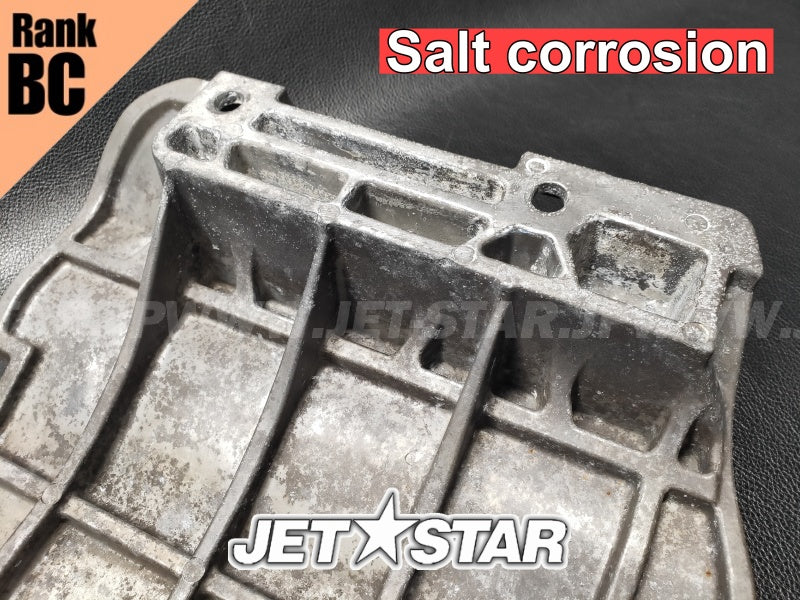 YAMAHA VXCruiser '11 OEM PLATE 2 Used (F2N-U273B-10-00/F2N-U273B-00-00) [Z6189-38]