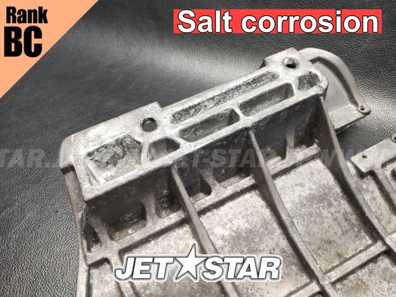 YAMAHA VXCruiser '11 OEM PLATE 2 Used (F2N-U273B-10-00/F2N-U273B-00-00) [Z6189-38]