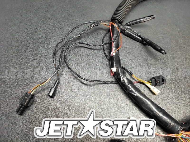 ULTRA250X'07 OEM (Fuel-Injection) HARNESS,ENGINE Used [K7836-07]