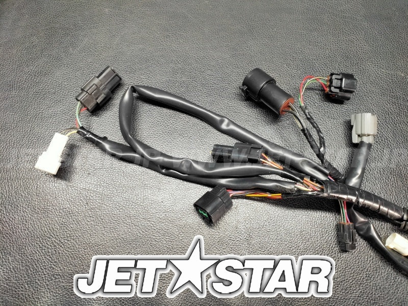 ULTRA250X'07 OEM (Fuel-Injection) HARNESS,ENGINE Used [K7836-07]