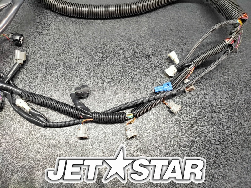 ULTRA250X'07 OEM (Fuel-Injection) HARNESS,ENGINE Used [K7836-07]