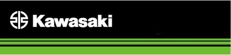Kawasaki AfterMarket SE COUGER BILLET SPONSONS Used [X2305-87]