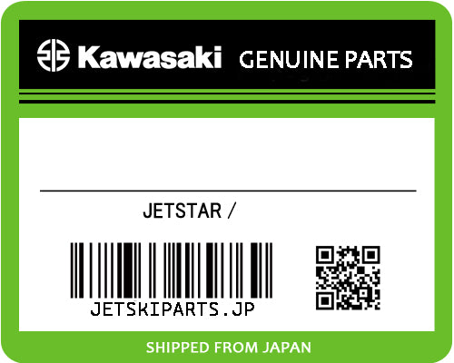 Kawasaki OEM FLOAT New