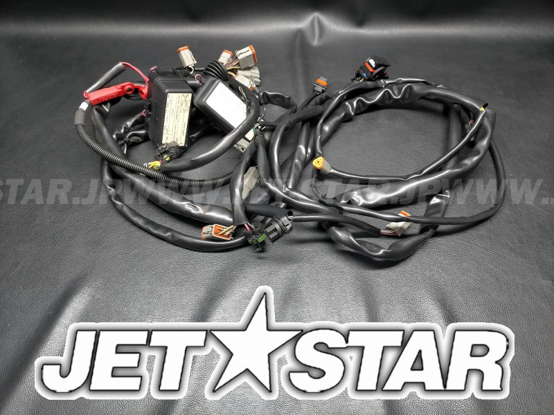 GTX LTD iS 255'09 OEM (Electrical-Harness-1) MAIN HARNESS Used [S2540-15]