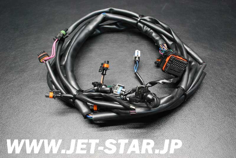 SEADOO GTX DI '01 OEM ENGINE HARNESS ASS'Y Used [S259-063]