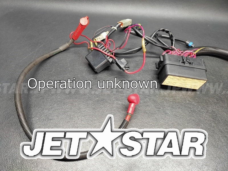 RXT'08 OEM (Electrical-Harness-1) MAIN WIRING HARNESS Used with defect [S6442-02]