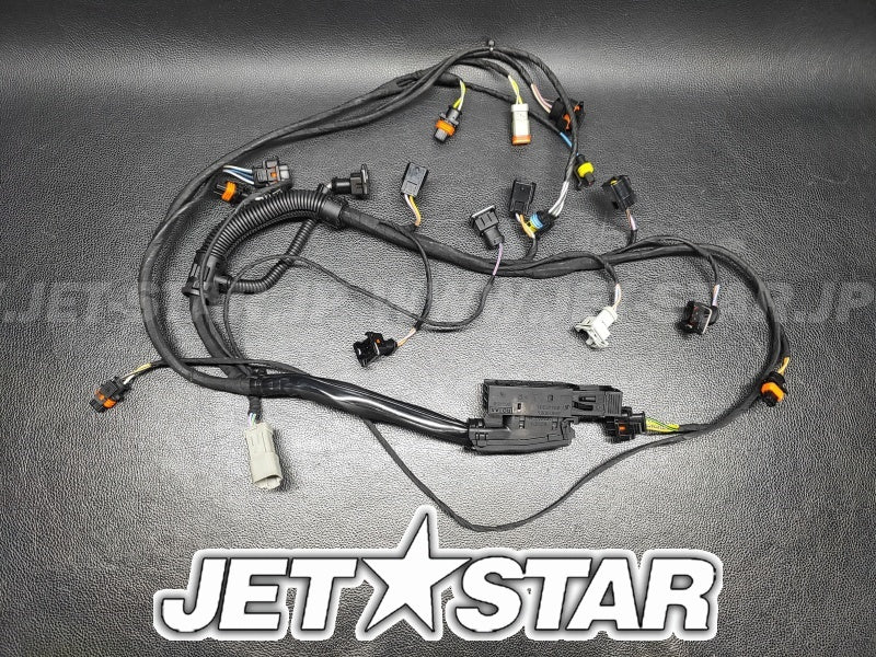 GTX S/C'04 OEM (Engine-Harness) ENGINE WIRING HARNESS ASS'Y | INCLUDES ITEMS 1 TO 15 Used [S7142-19]