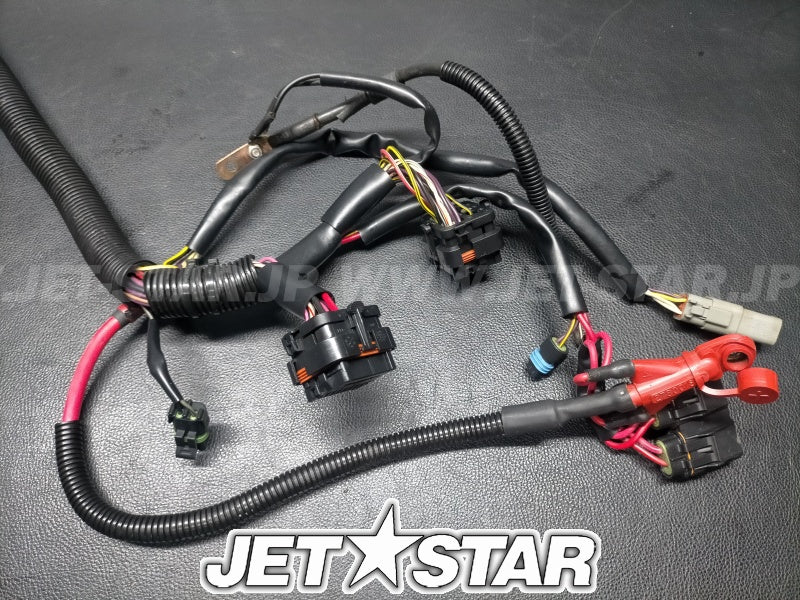 GTX LTD S/C'04 OEM (Main-Harness) MAIN WIRING HARNESS | LTD MODELS, INCLUDES 1 TO 700 Used [S7533-31]