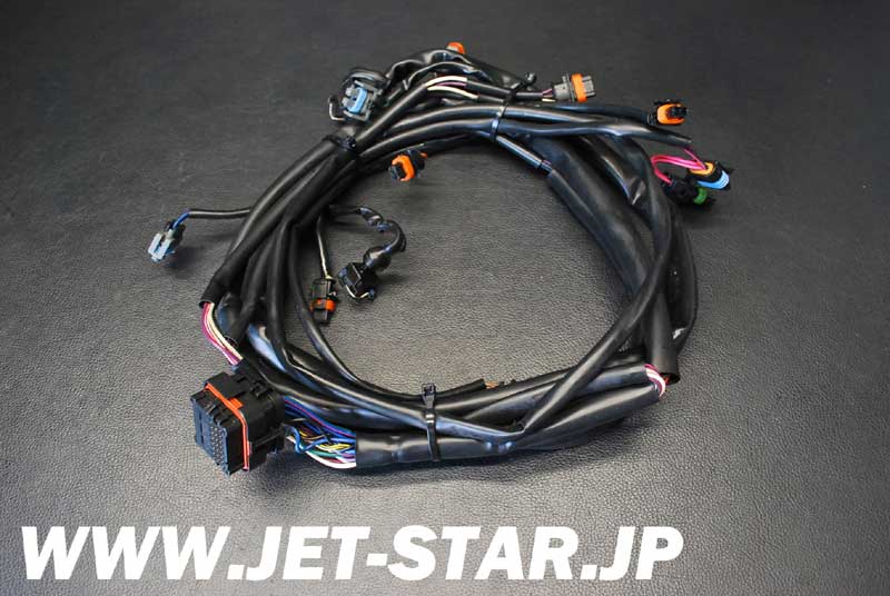 SEADOO GTX DI '01 OEM Engine Harness Ass'y Used [S830-061]