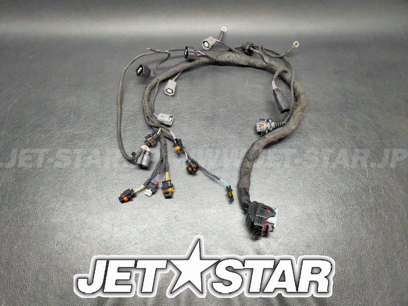 RXT-X 300'20 OEM (Electric-Engine-Harness-GTX-RXT) ENGINE WIRING HARNESS ASS'Y Used [S9026-08]