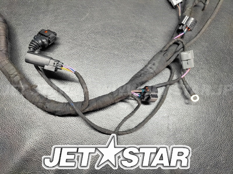 RXT-X 300'20 OEM (Electric-Engine-Harness-GTX-RXT) ENGINE WIRING HARNESS ASS'Y Used [S9026-08]