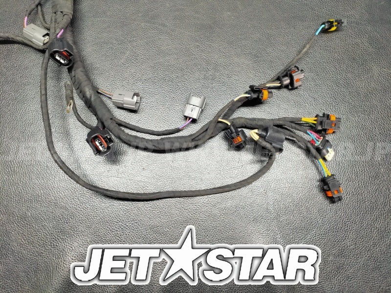 RXT-X 300'20 OEM (Electric-Engine-Harness-GTX-RXT) ENGINE WIRING HARNESS ASS'Y Used [S9026-08]