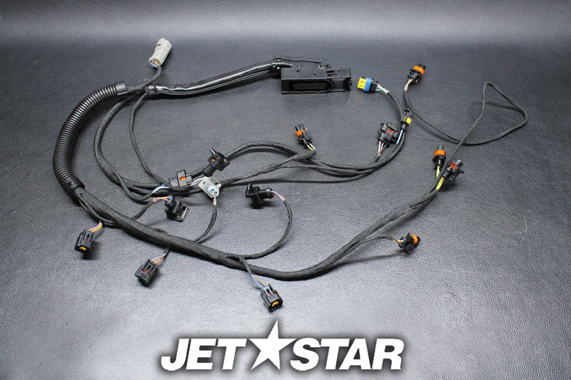 SEADOO GTX WAKE 155 '06 OEM ENGINE WIRING HARNESS ASS'Y Used [S9660-54]