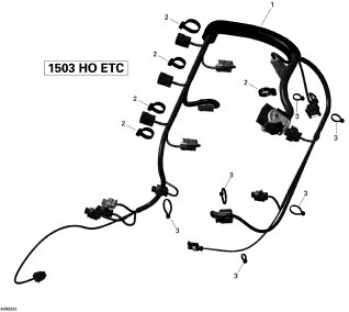 GTX LTD iS 255'09 OEM (Engine-Harness) ENGINE WIRING HARNESS ASS'Y Used [S2540-29]
