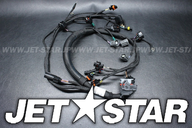 GTX 300'19 OEM (Engine-Harness-And-Electronic-Module) ENGINE WIRING HARNESS ASS'Y Used [X2207-42]