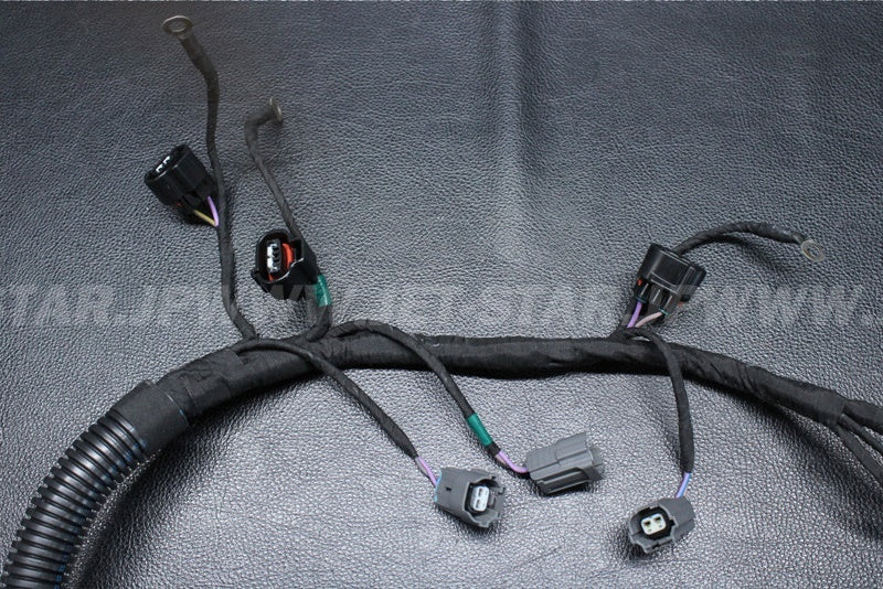 GTX 300'19 OEM (Engine-Harness-And-Electronic-Module) ENGINE WIRING HARNESS ASS'Y Used [X2207-42]