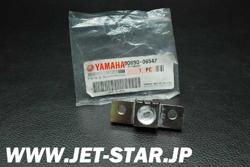 YAMAHA SuperJet -SJ700- '01 OEM FLYWHEEL HOLDER New [X801-054]