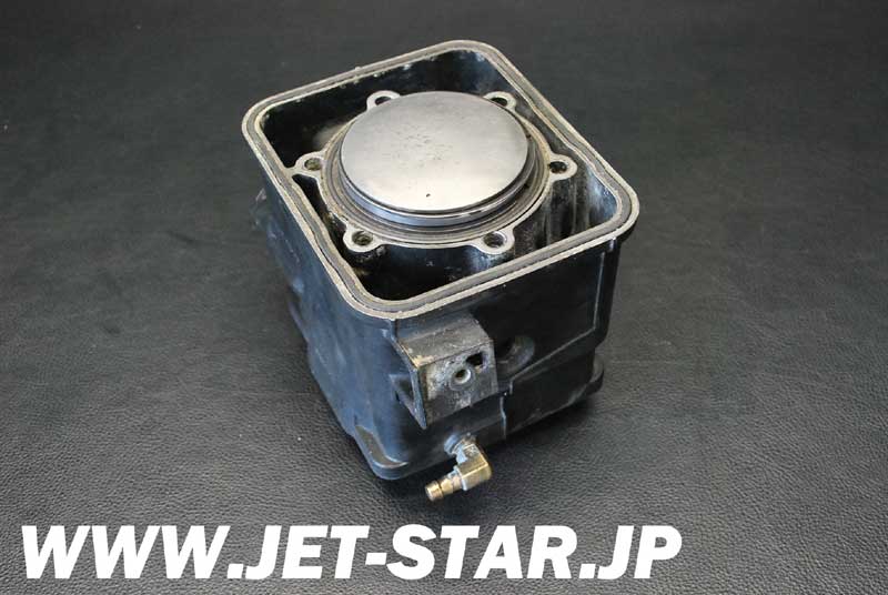 SeaDoo GSX GTX GTI 3D RFI Ignition Magneto Cover 290811022