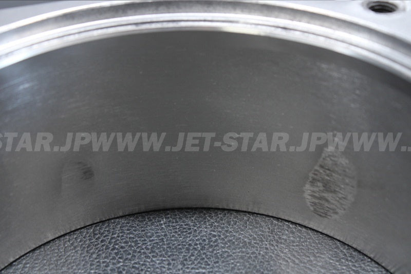 VXCruiser'10 OEM (JET-UNIT-1) HOUSING, IMPELLER Used [Y0927-29]